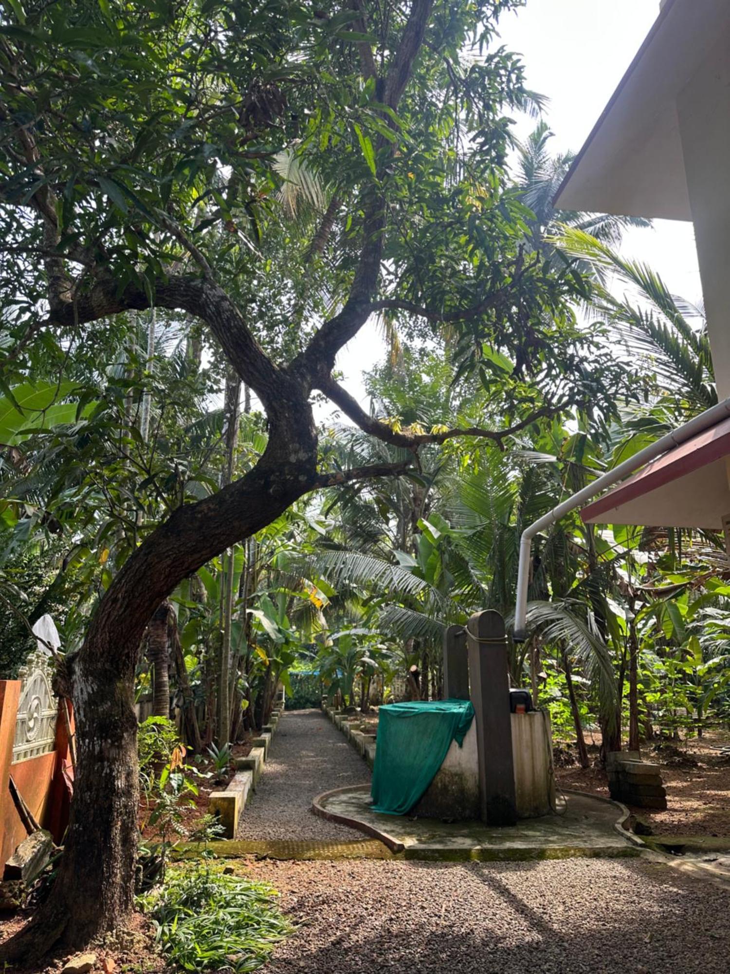 Appartamento Prabhalayam Kottayam Esterno foto